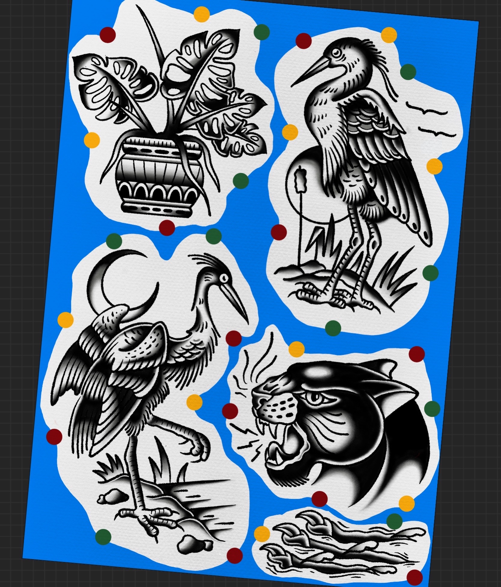 Flash Wide